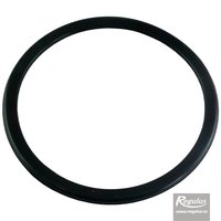 Picture: Garnitură O-ring 125 mm pentru RegulusFLEX