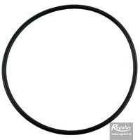 Picture: O-ring, 98x3,53, pentru capac cu filtru - pentru DOS25